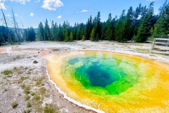 Yellowstone & Grand Teton: 5 Day Small Group Tour + HD Photos