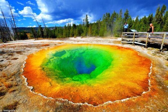 6-Day Yellowstone and Mount Rushmore Tour from Salt Lake City